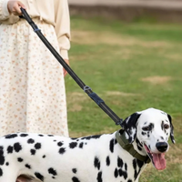 BounceTrek™   BounceTrek™  Smiley Waggings 