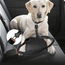 BounceTrek™   BounceTrek™  Smiley Waggings 