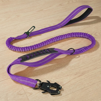 BounceTrek™   BounceTrek™  Smiley Waggings 