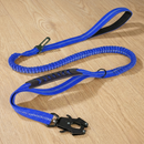 BounceTrek™   BounceTrek™  Smiley Waggings 