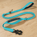 BounceTrek™   BounceTrek™  Smiley Waggings 