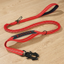 BounceTrek™   BounceTrek™  Smiley Waggings 