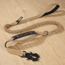 BounceTrek™   BounceTrek™  Smiley Waggings 