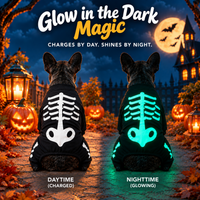 Glowing Bones Jumpsuit