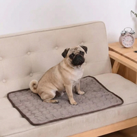 ChillPawMat™   ChillPawMat™  Smiley Waggings 