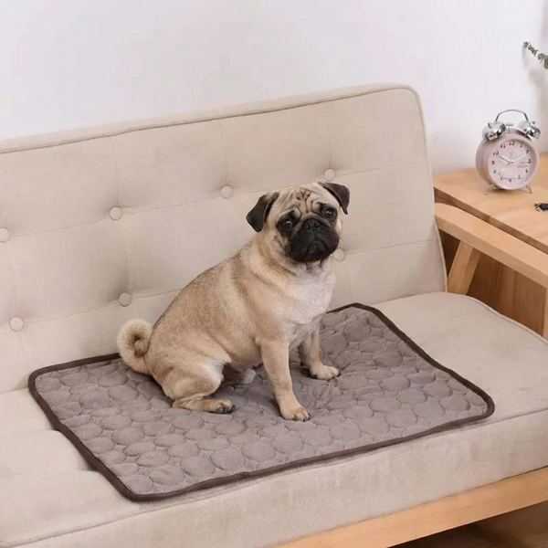 ChillPawMat™   ChillPawMat™  Smiley Waggings 