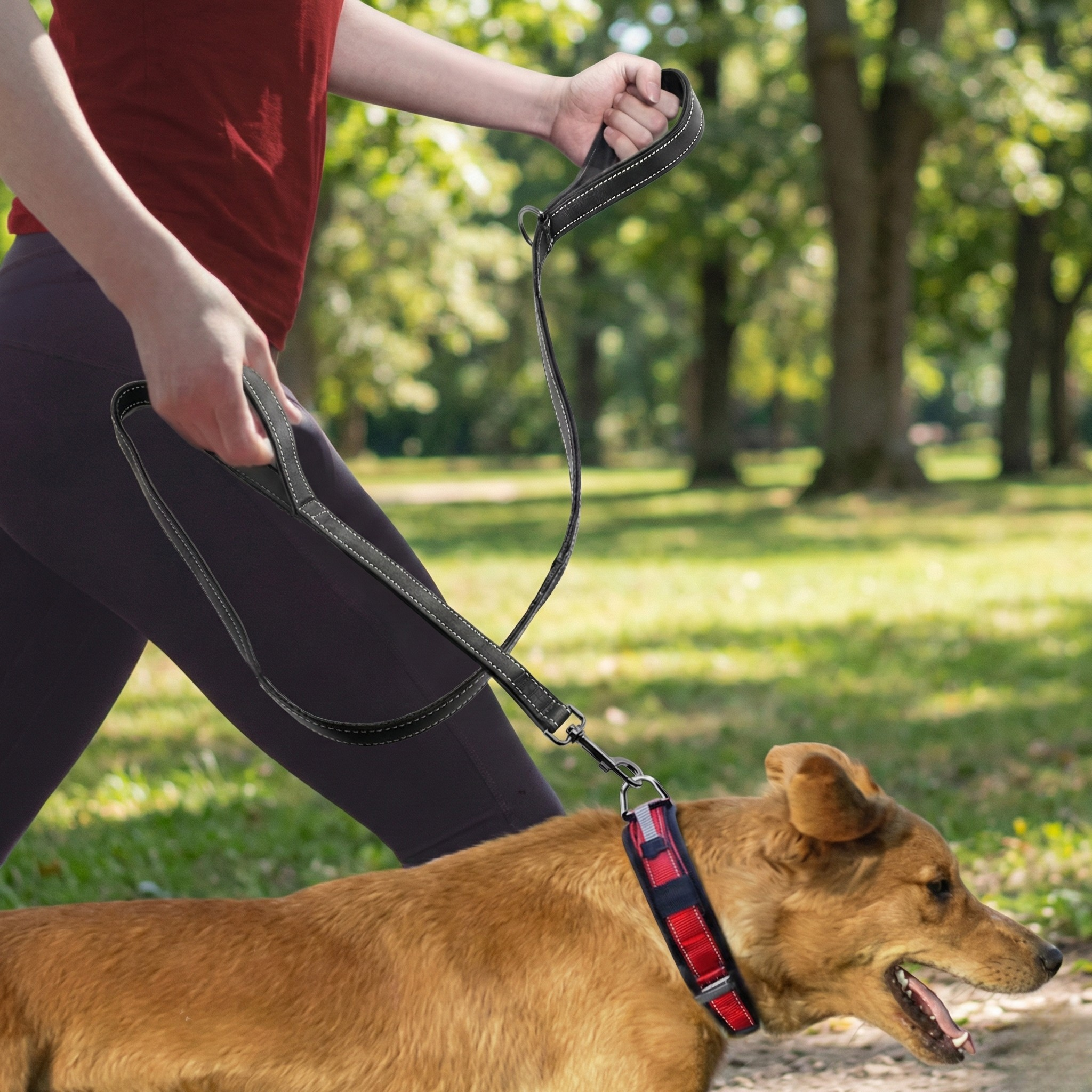 ControlPro Leash™