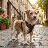 EasyTrek Set™   EasyTrek Set™  Smiley Waggings 