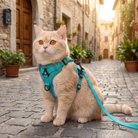 EasyTrek Set™   EasyTrek Set™  Smiley Waggings 