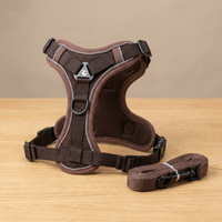 EasyTrek Set™   EasyTrek Set™  Smiley Waggings 