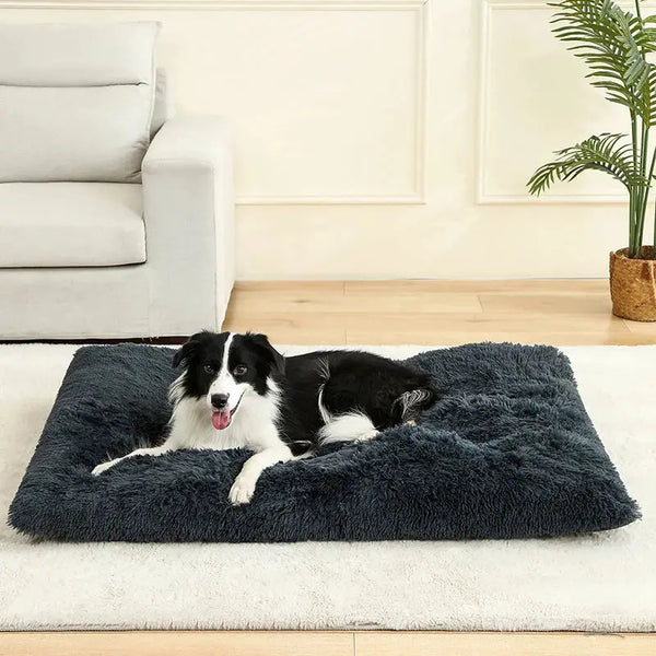 FurNestLuxe™   FurNestLuxe™  Smiley Waggings 