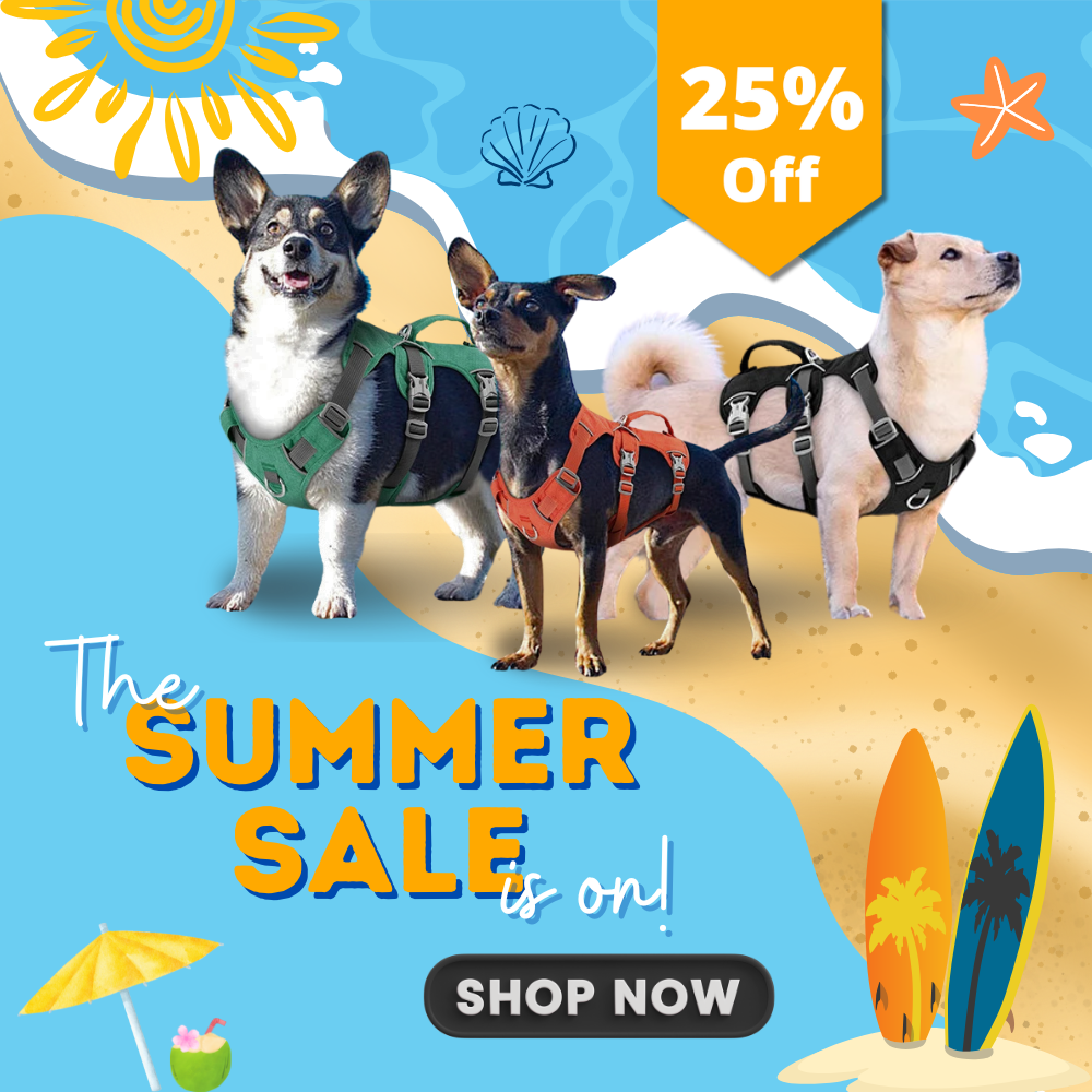 Mobile_Banner_Summer_Sale_25.png