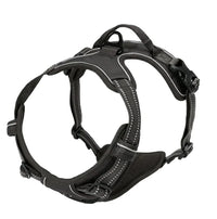 AirFlex Harness