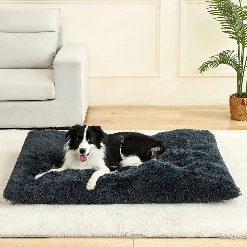 FurNest Luxe™