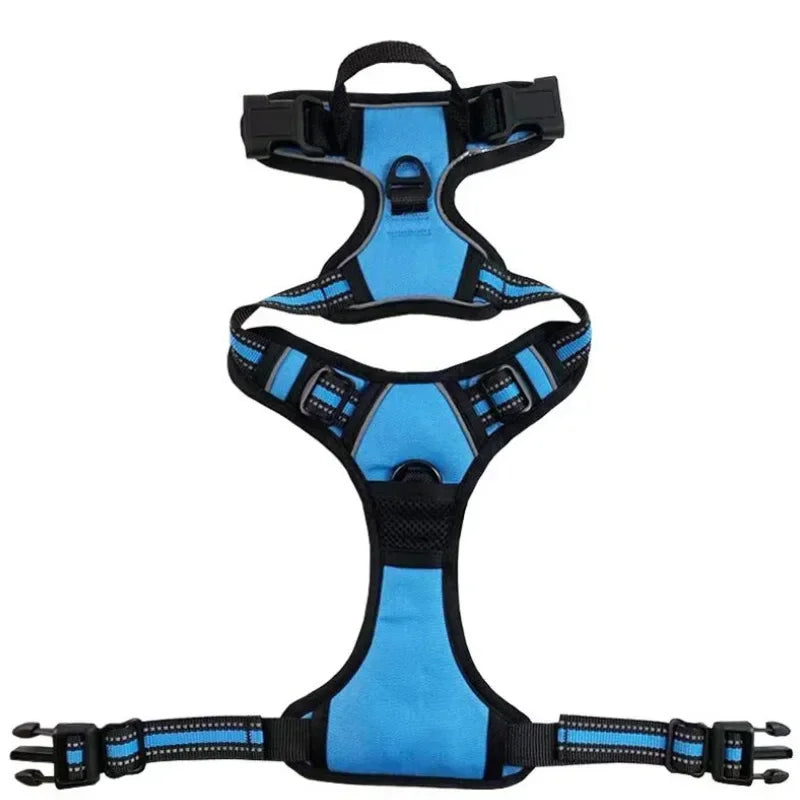 Sky Blue / S