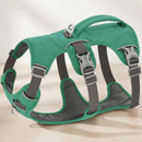 SafeStride™   SafeStride™  Smiley Waggings 