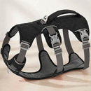 SafeStride™   SafeStride™  Smiley Waggings 