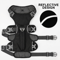 SafeStride™   SafeStride™  Smiley Waggings 