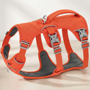 SafeStride™   SafeStride™  Smiley Waggings 