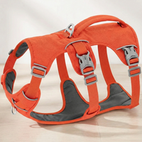 SafeStride™   SafeStride™  Smiley Waggings 