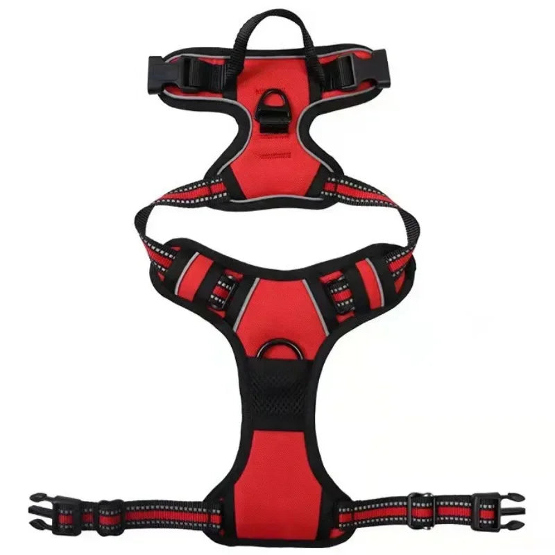Red / S