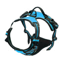 AirFlex Harness
