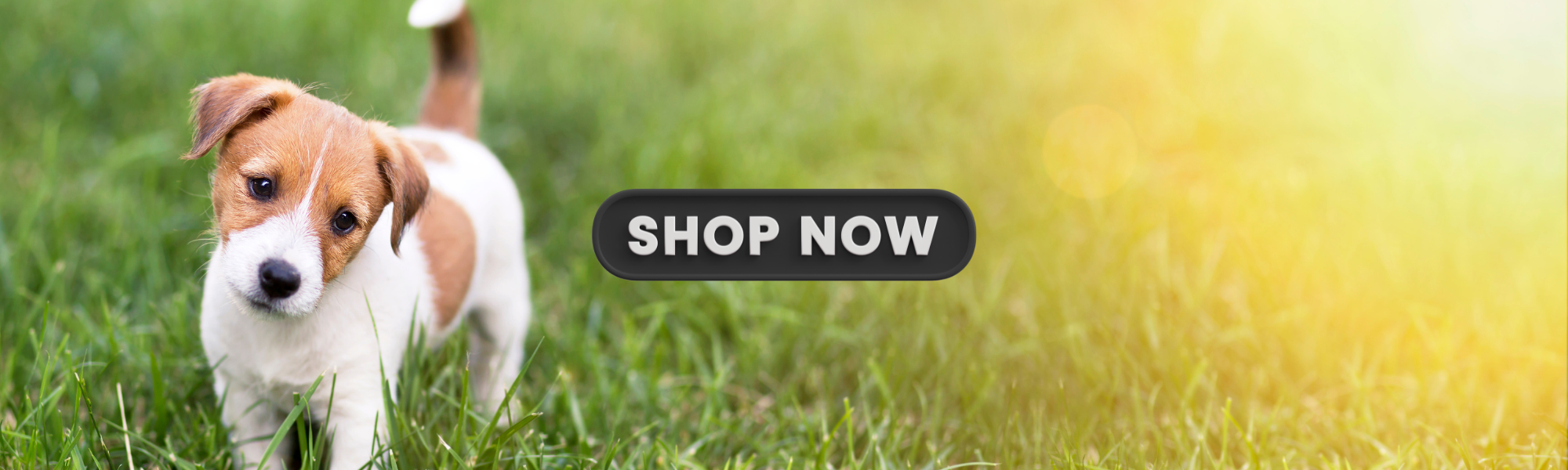 banner_fim_ccb26550-a2dc-45c5-a048-52fd37ee057a.png