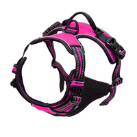 AirFlex Harness